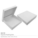 White-Gift-Packaging-Box-GB-161.jpg