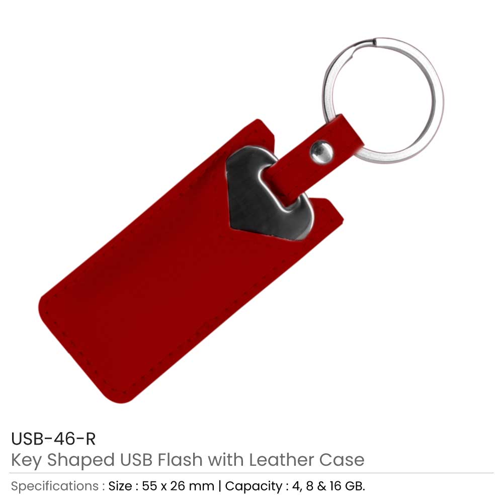 Key-Shaped-USB-with-Leather-Case-USB-46-R-1.jpg